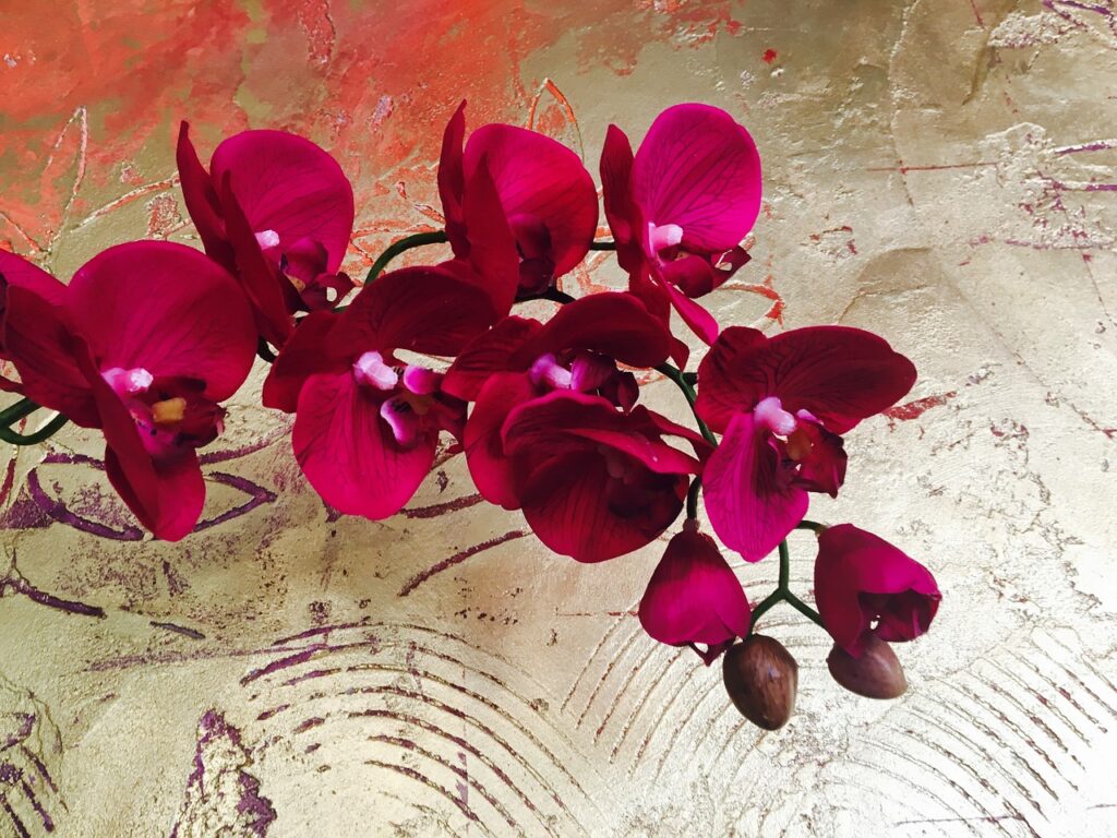 orchid, flower, gold wall